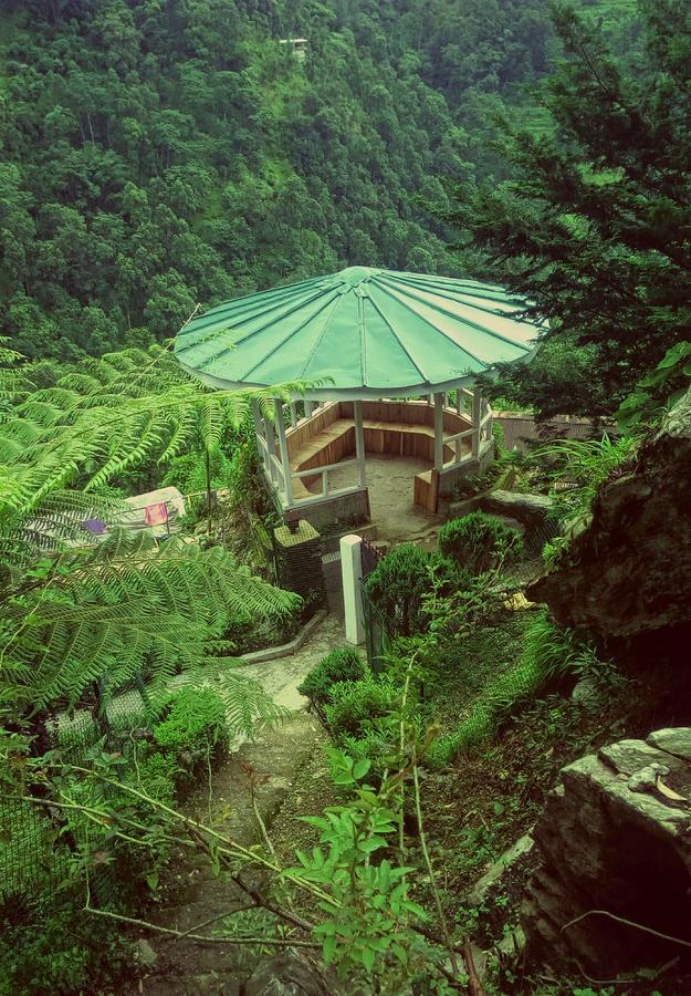 Enchanted Forest Farmstay Gangtok Zewnętrze zdjęcie