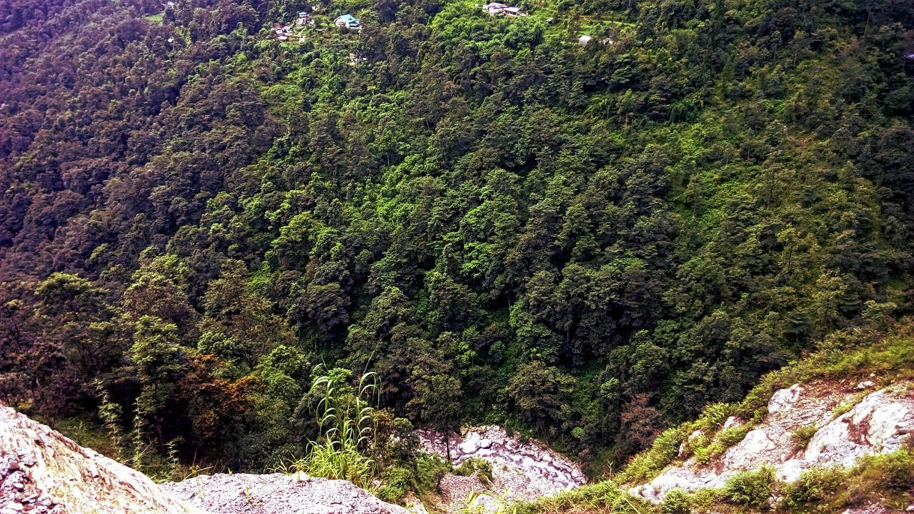 Enchanted Forest Farmstay Gangtok Zewnętrze zdjęcie