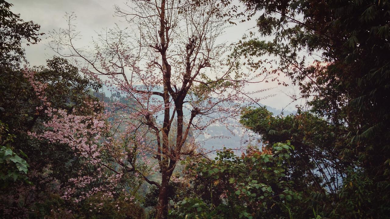Enchanted Forest Farmstay Gangtok Zewnętrze zdjęcie
