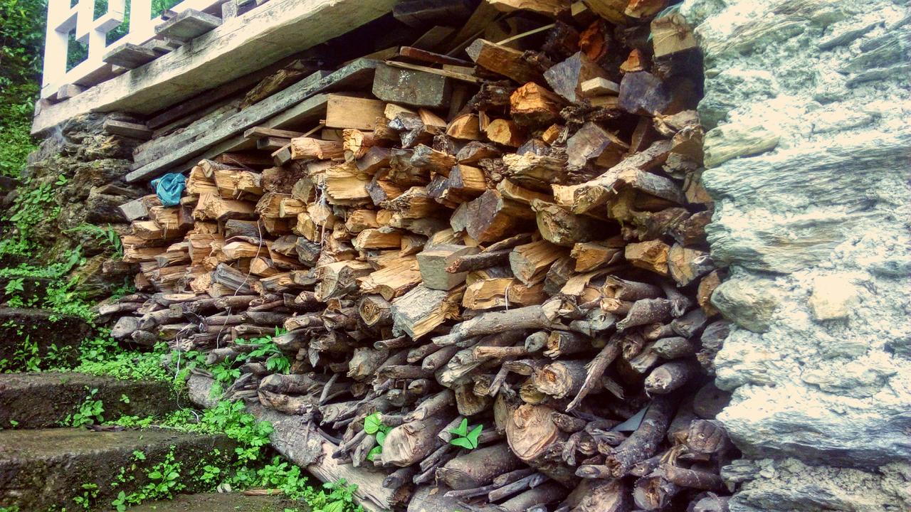 Enchanted Forest Farmstay Gangtok Zewnętrze zdjęcie