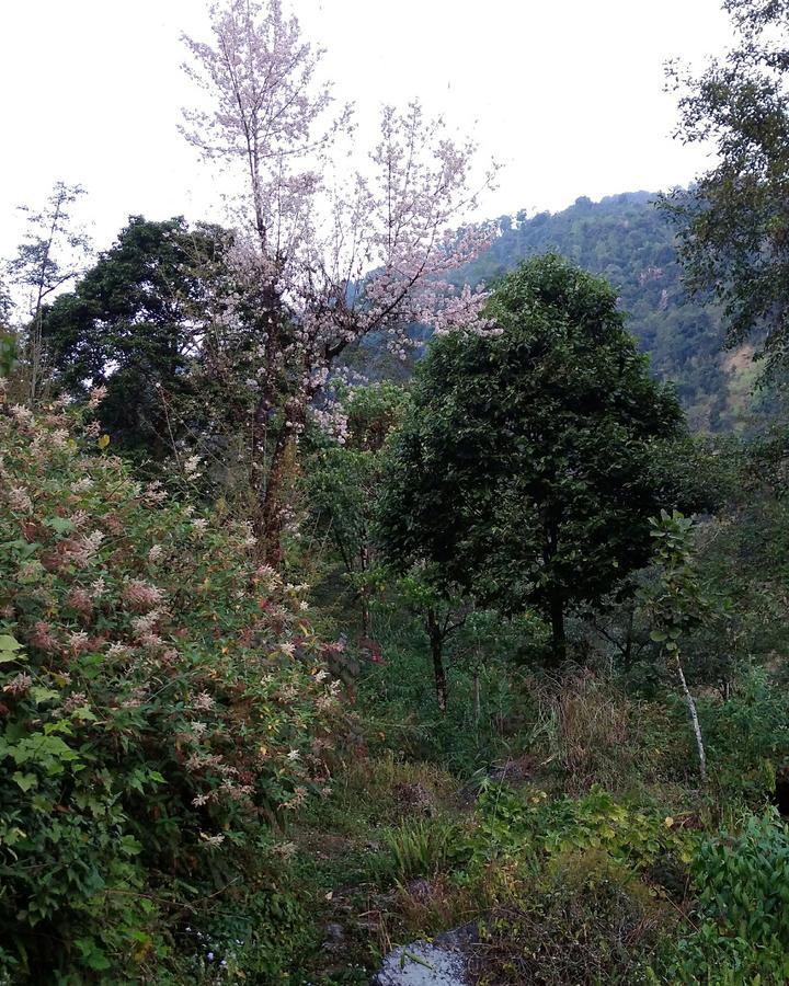 Enchanted Forest Farmstay Gangtok Zewnętrze zdjęcie