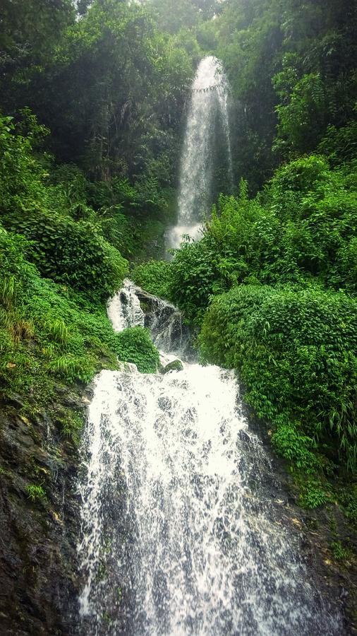 Enchanted Forest Farmstay Gangtok Zewnętrze zdjęcie