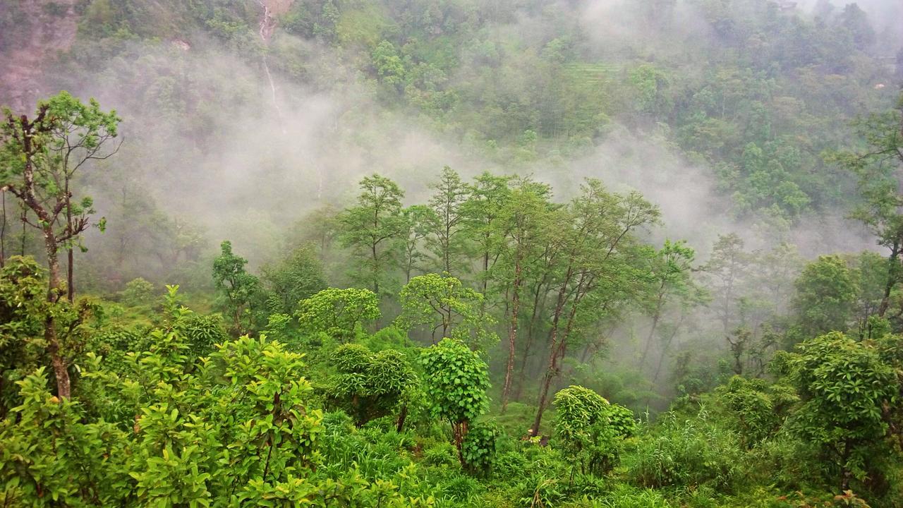 Enchanted Forest Farmstay Gangtok Zewnętrze zdjęcie