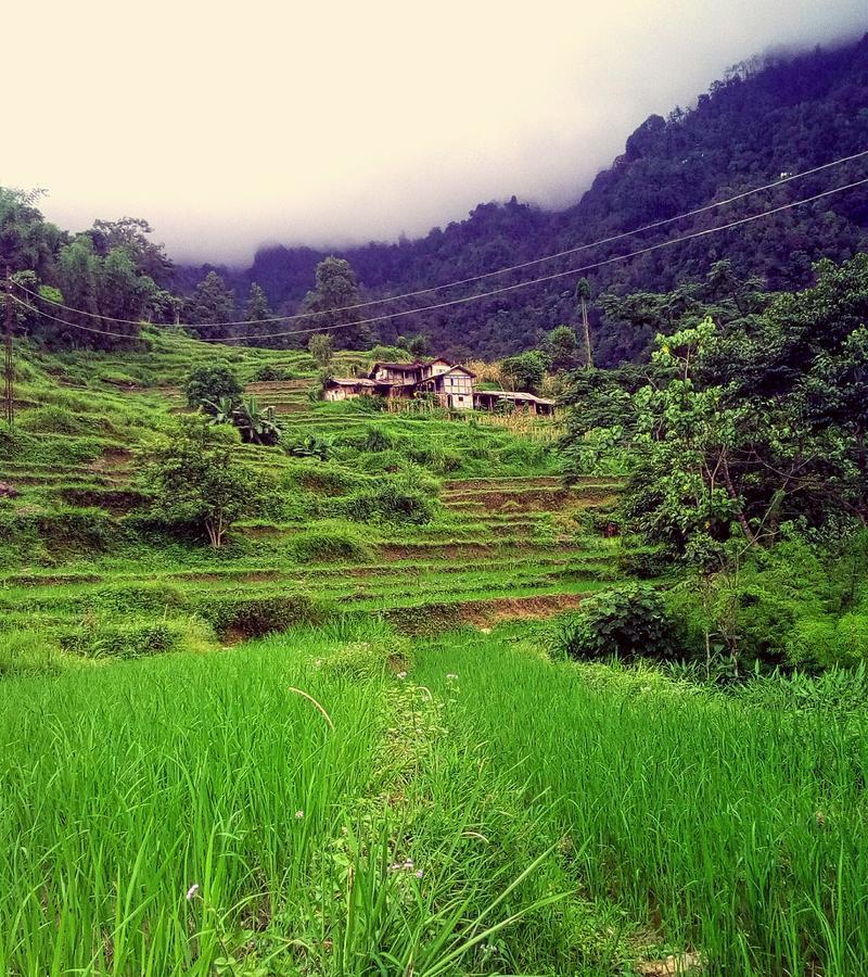 Enchanted Forest Farmstay Gangtok Zewnętrze zdjęcie
