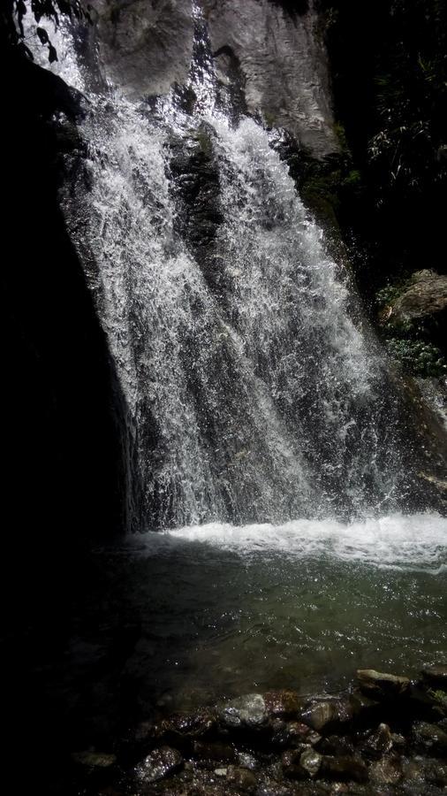 Enchanted Forest Farmstay Gangtok Zewnętrze zdjęcie
