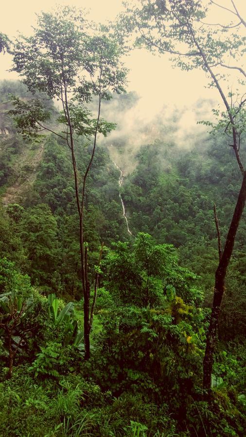 Enchanted Forest Farmstay Gangtok Zewnętrze zdjęcie