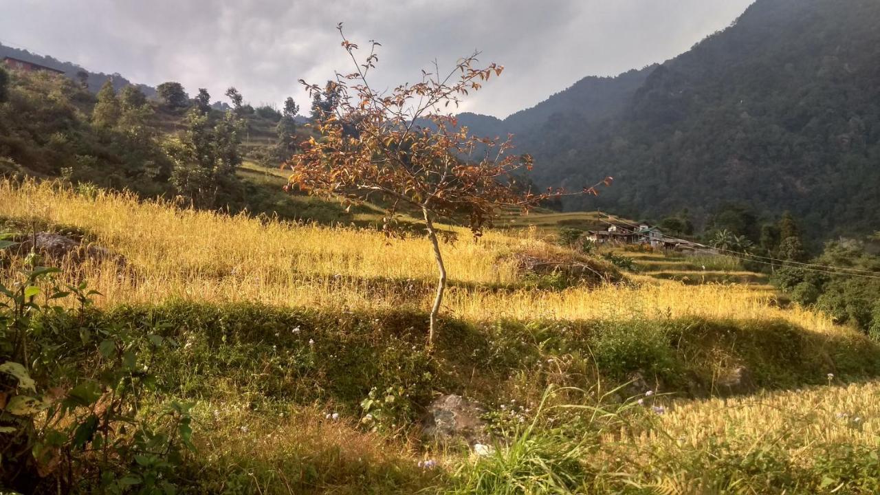 Enchanted Forest Farmstay Gangtok Zewnętrze zdjęcie