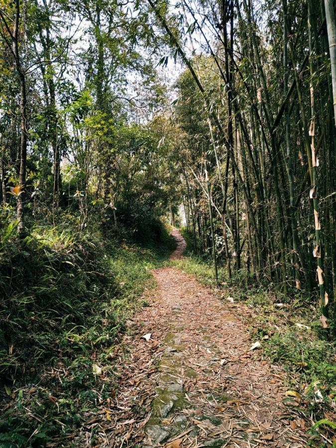 Enchanted Forest Farmstay Gangtok Zewnętrze zdjęcie