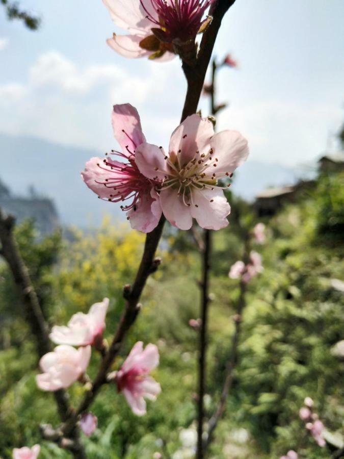 Enchanted Forest Farmstay Gangtok Zewnętrze zdjęcie