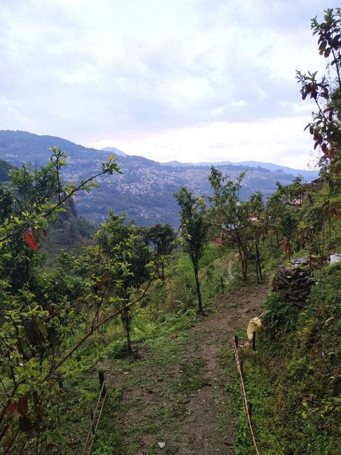 Enchanted Forest Farmstay Gangtok Zewnętrze zdjęcie