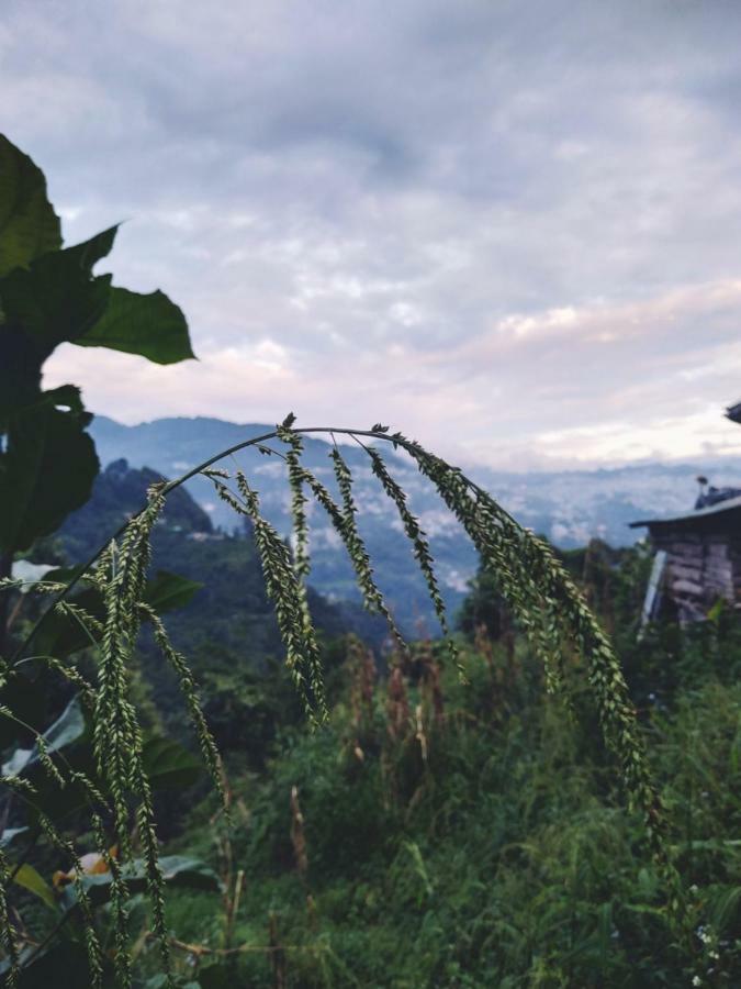 Enchanted Forest Farmstay Gangtok Zewnętrze zdjęcie