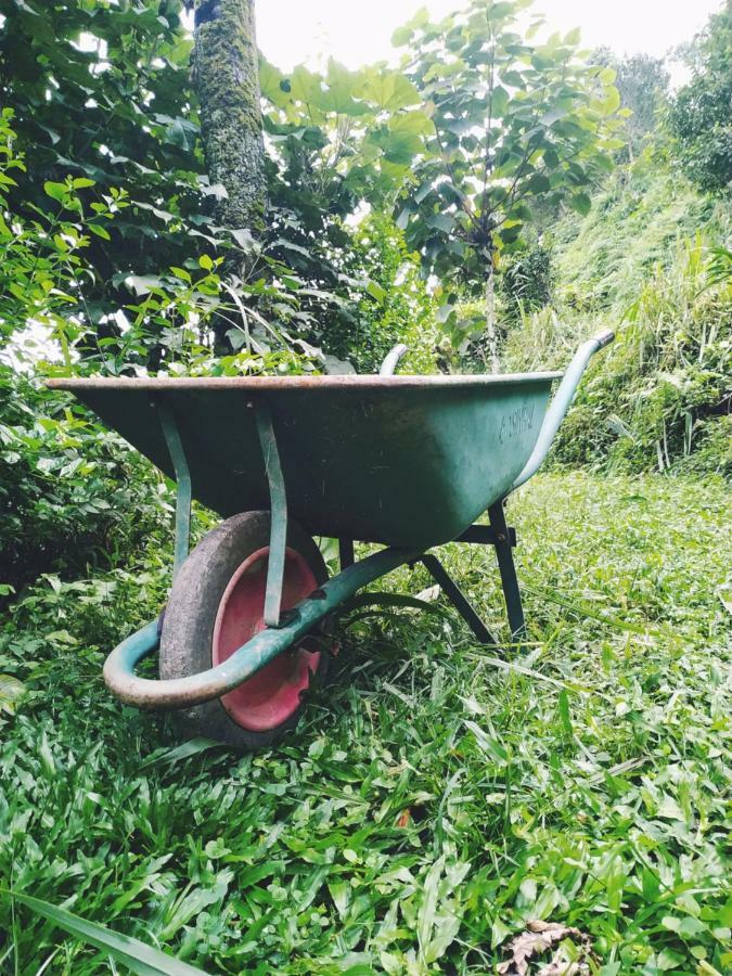 Enchanted Forest Farmstay Gangtok Zewnętrze zdjęcie